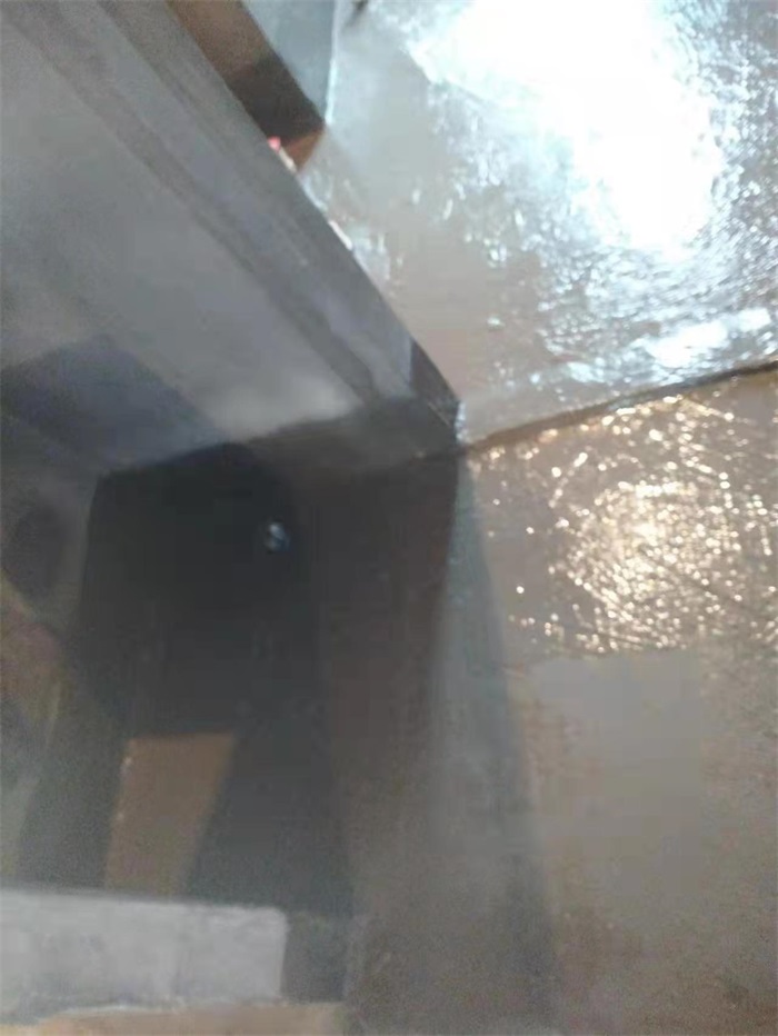 mmexport1671457578823.jpg