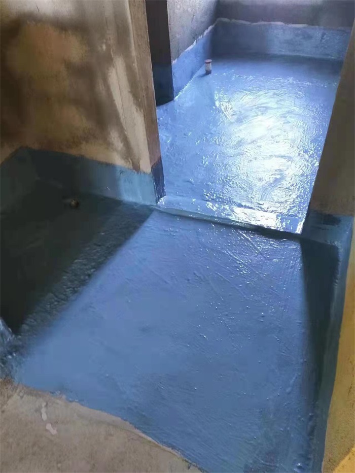 mmexport1671457560592.jpg