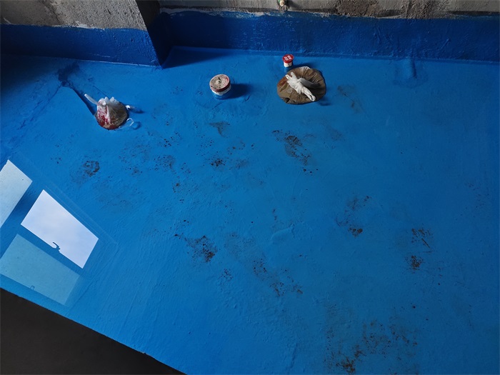 IMG_20221220_155435.jpg