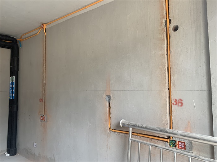IMG_8285.JPG