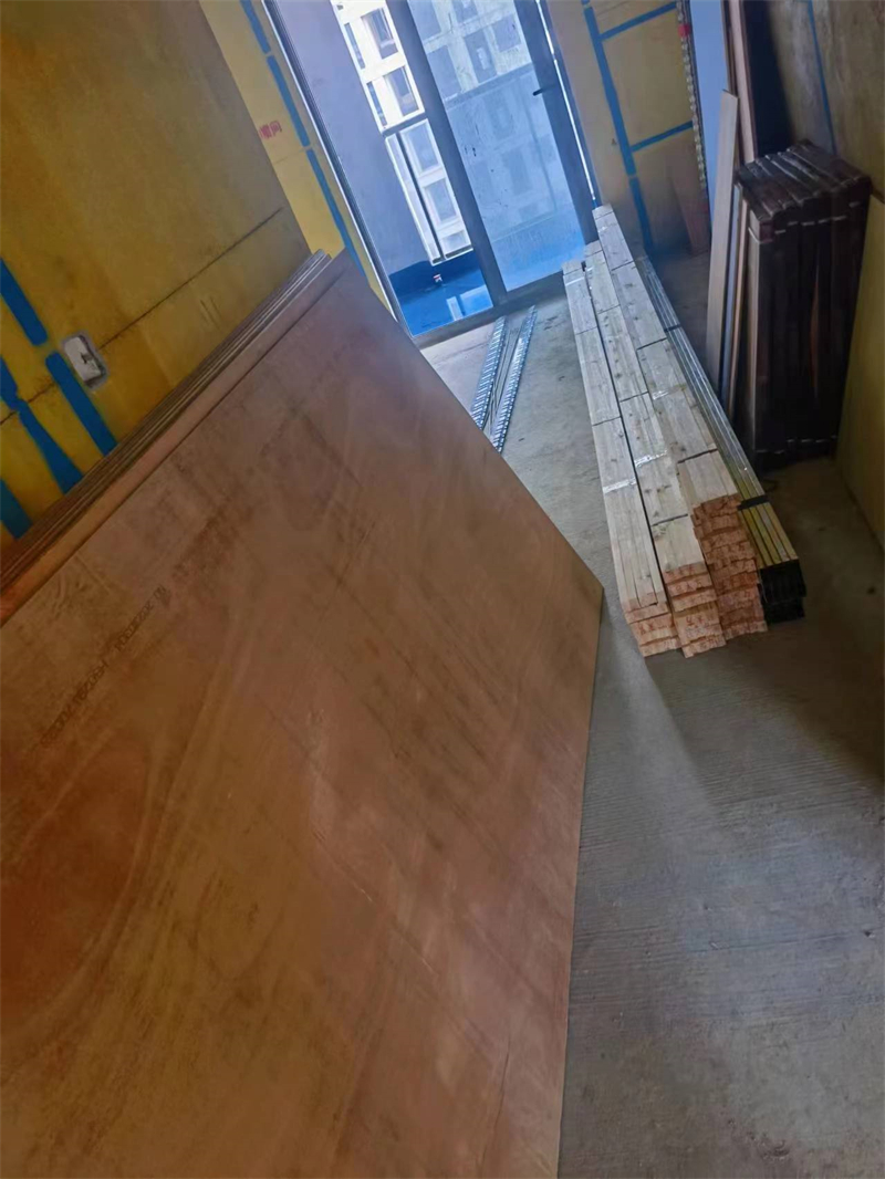 mmexport1679550079216.jpg