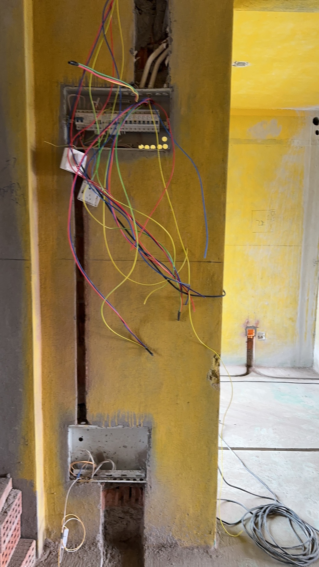 mmexport1679558681090.jpg