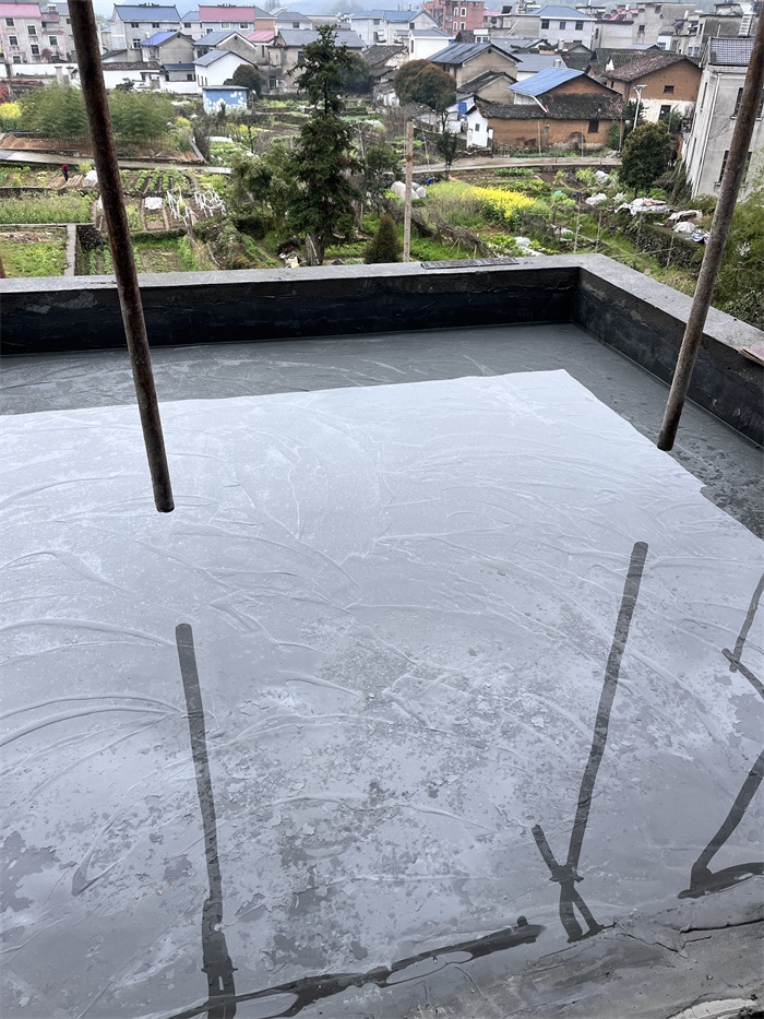 IMG_4234.JPG