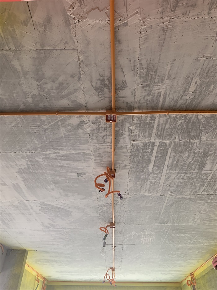 IMG_4500.JPG
