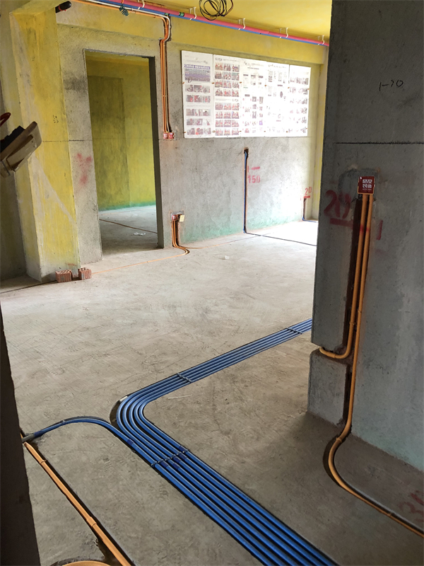 IMG_6233.JPG