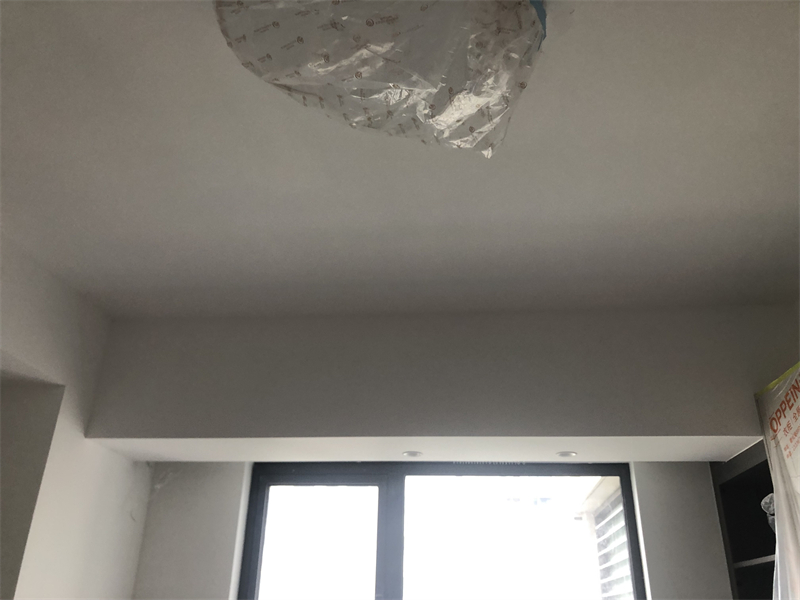 IMG_7321.JPG