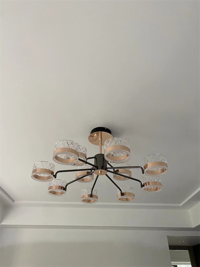 ��������17-1401IMG_8829(20230524-132440).JPG