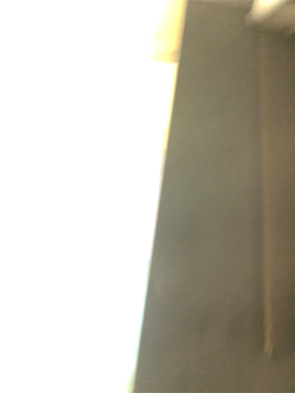 IMG_8593.JPG