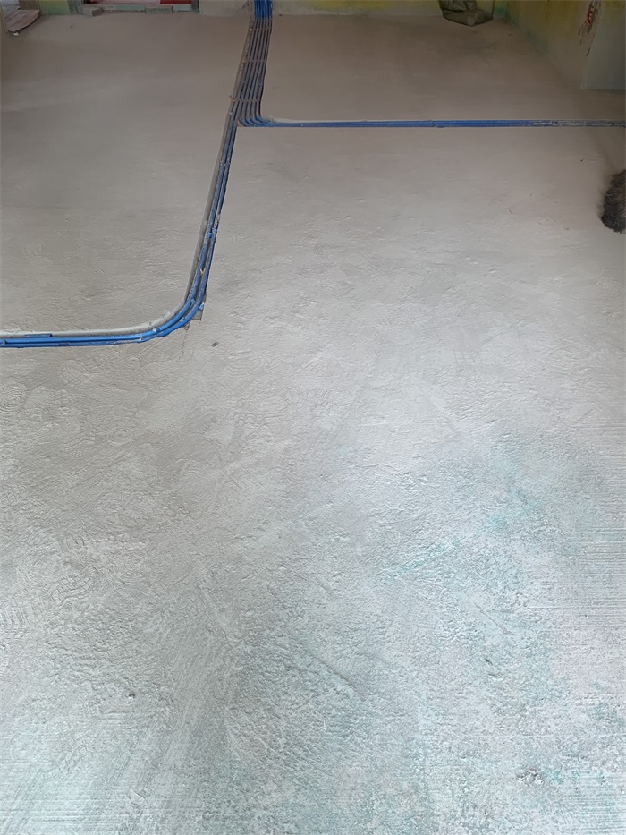 IMG_8540.JPG