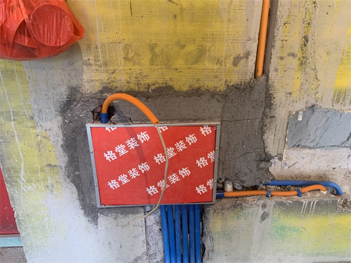 IMG_8563.JPG