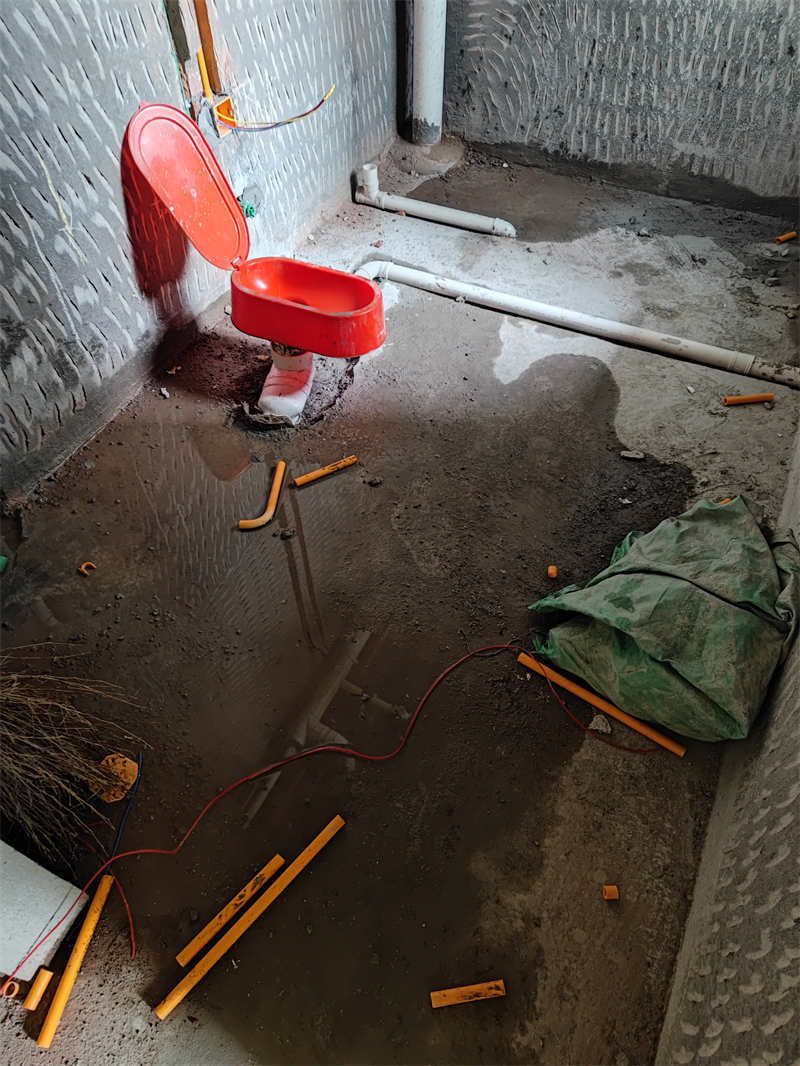 IMG_20230604_082850.jpg
