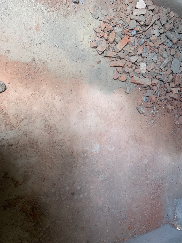 IMG_1301.JPG