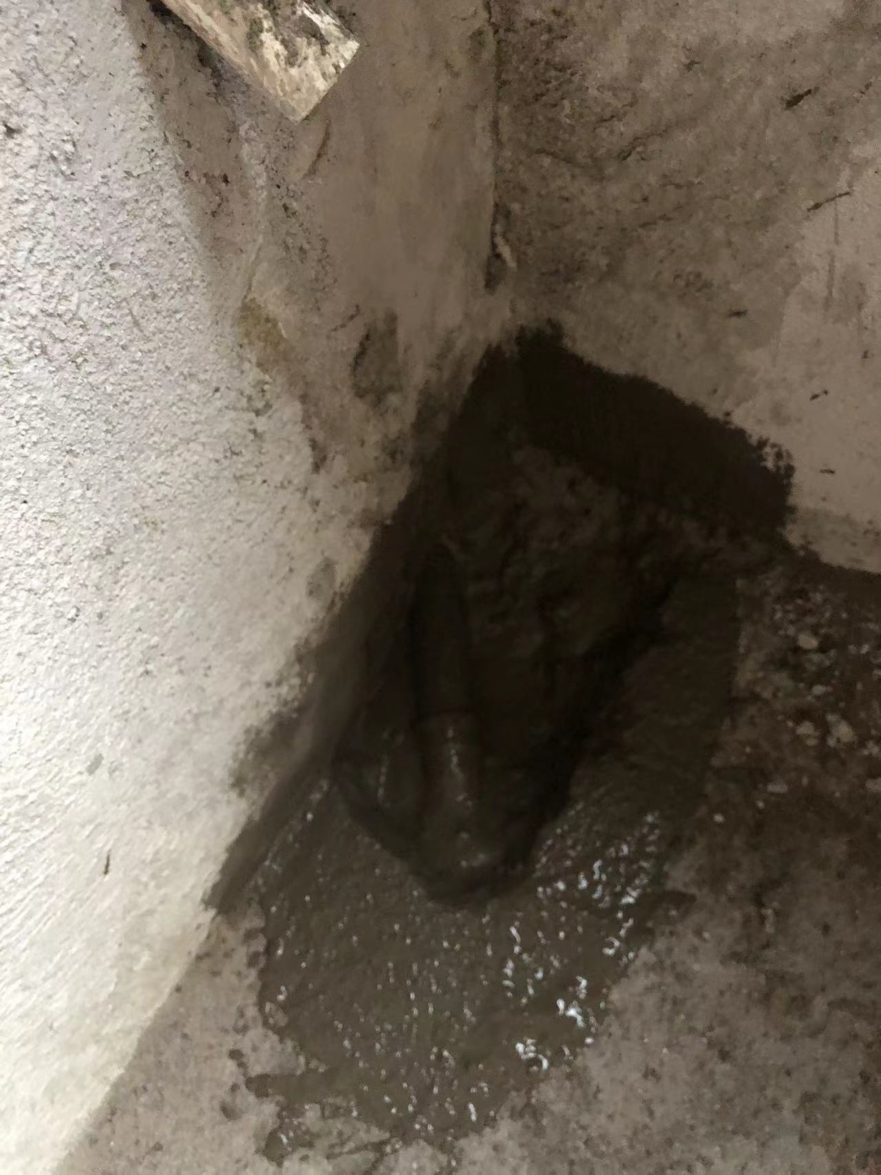 ΢��ͼƬ_20230614130623.jpg