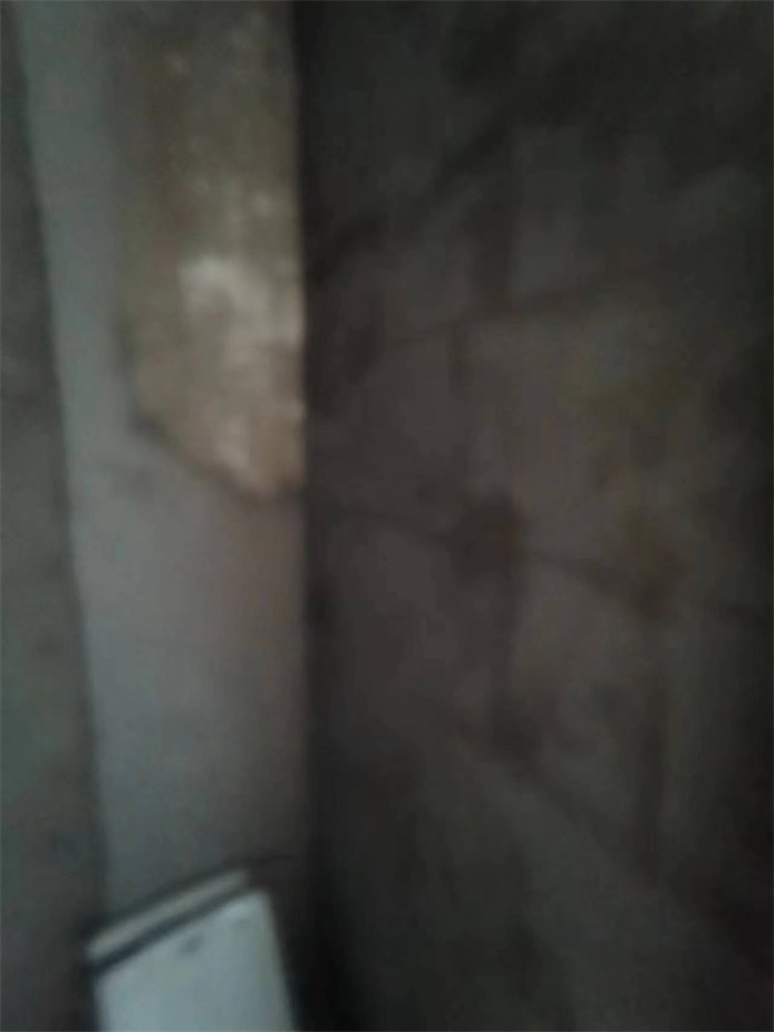 3e10f500739b4ed518e8ae810aff7a9.jpg