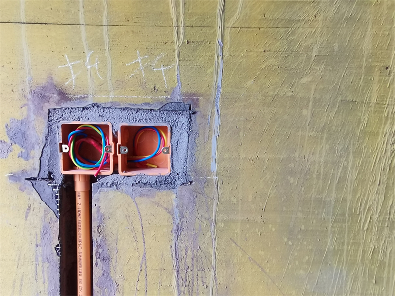 IMG_20230620_100647.jpg