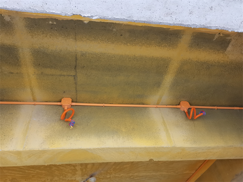 IMG_20230620_100837.jpg