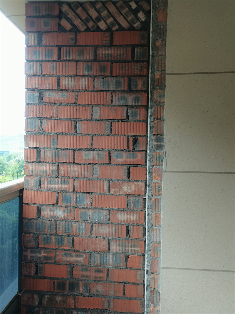 IMG_20230623_084817.jpg