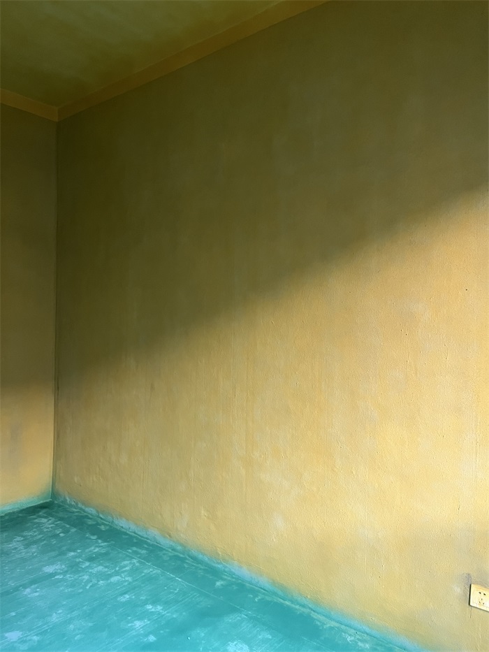 IMG_2905(2).JPG