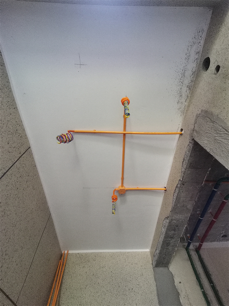 IMG_20230628_095401.jpg