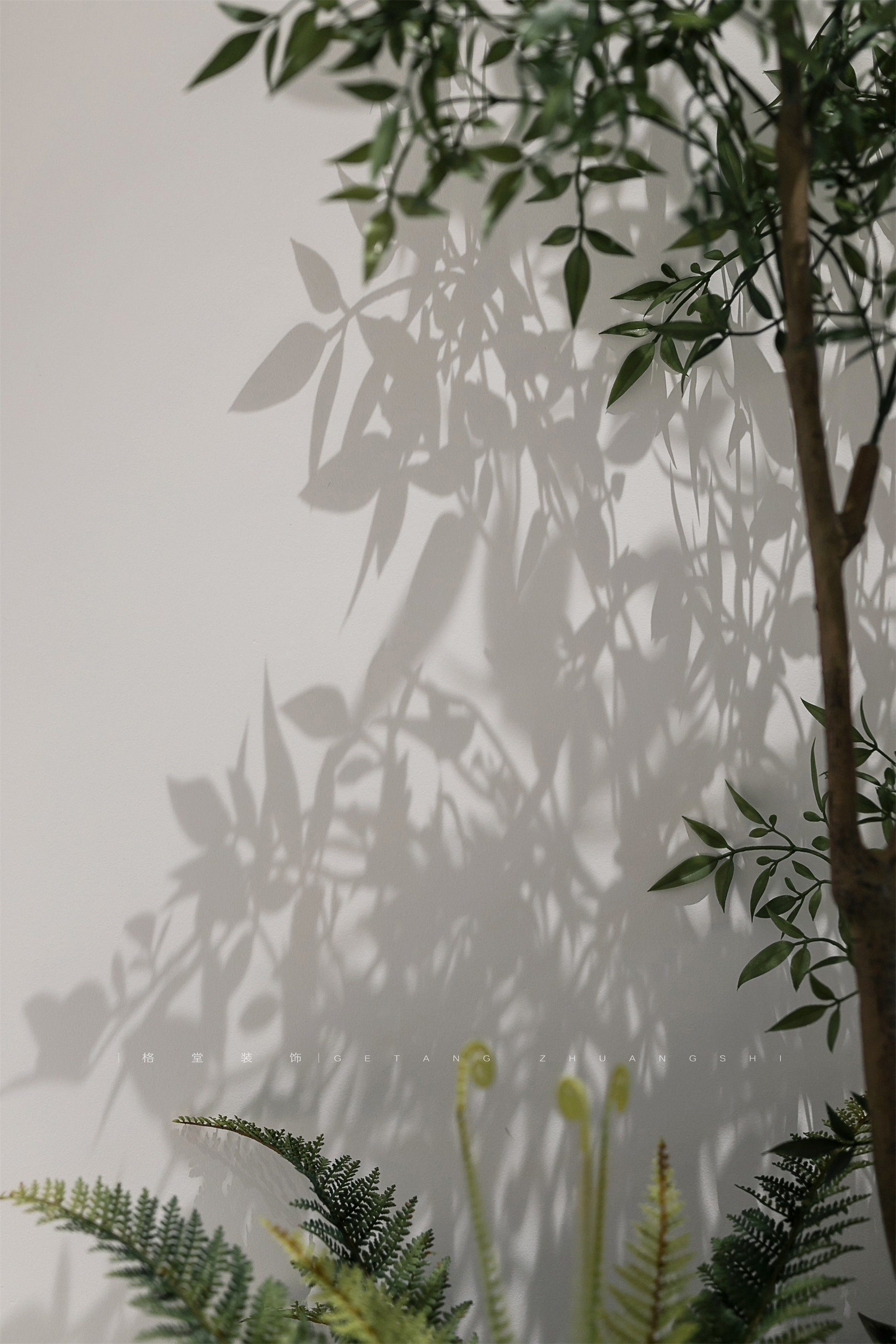 SGXH9816-2.jpg