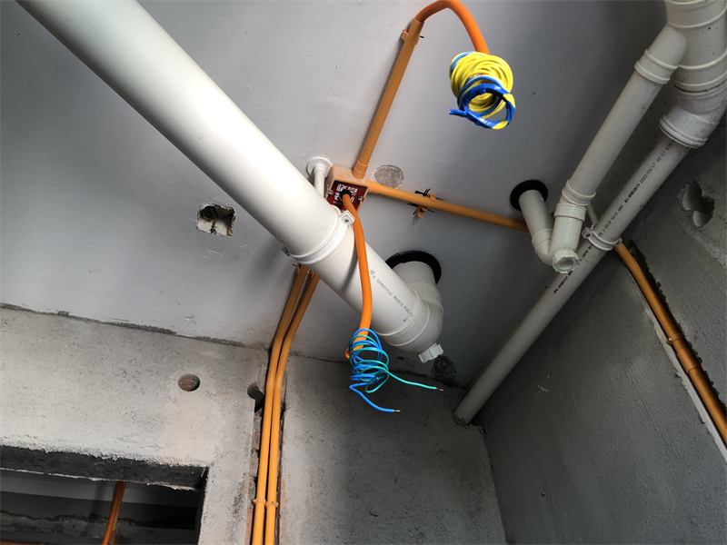 IMG_5091.JPG