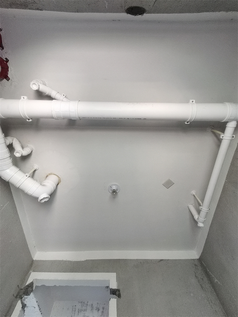 IMG_20230712_100126.jpg