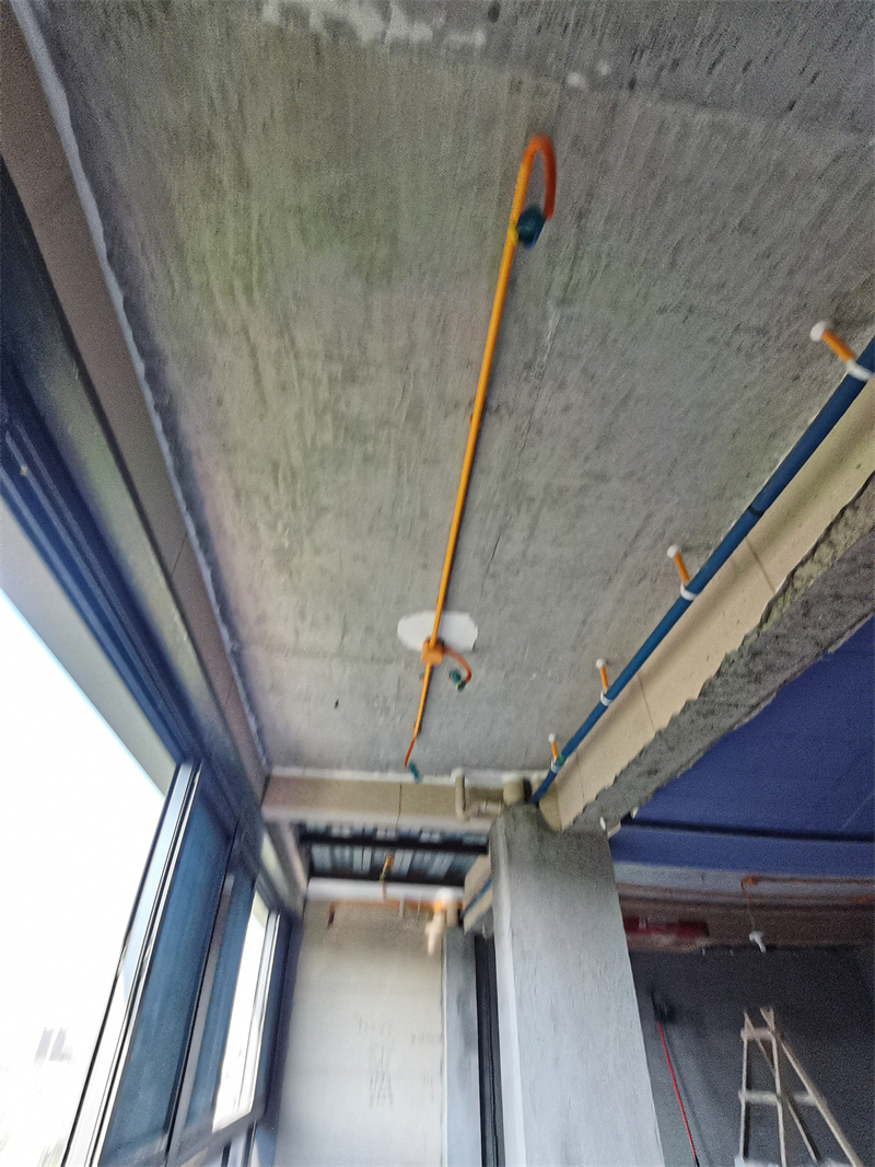 IMG_20230712_082757.jpg