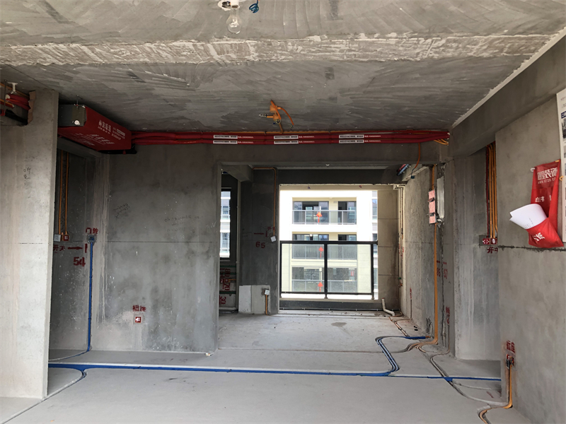 IMG_1004.JPG