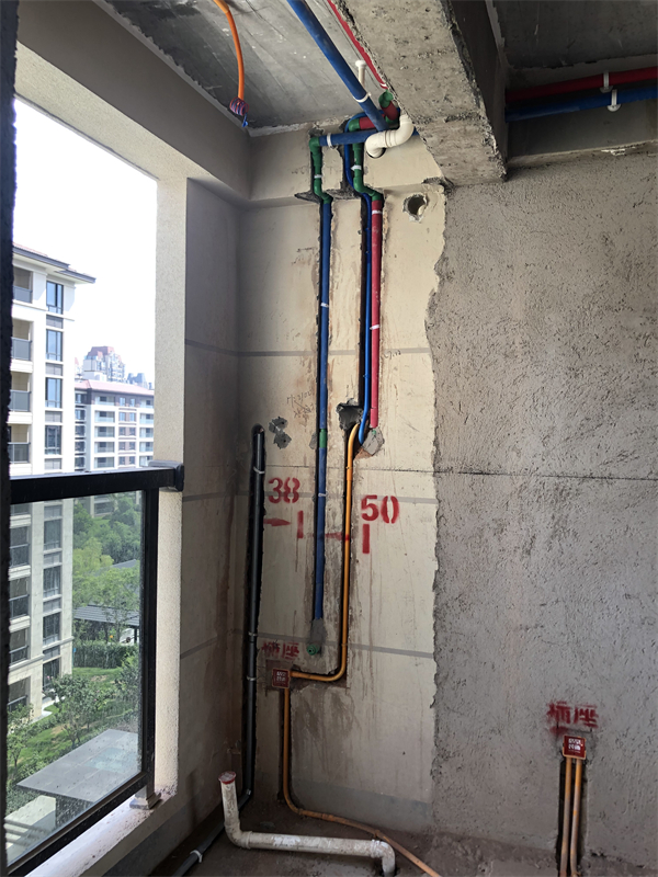 IMG_1100.JPG