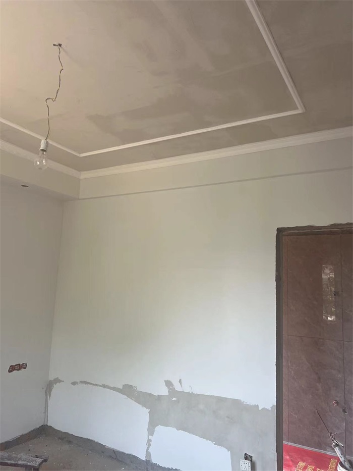 ��ͼ������ͼƬת�����(34)IMG_3895(20230807-101926).JPG