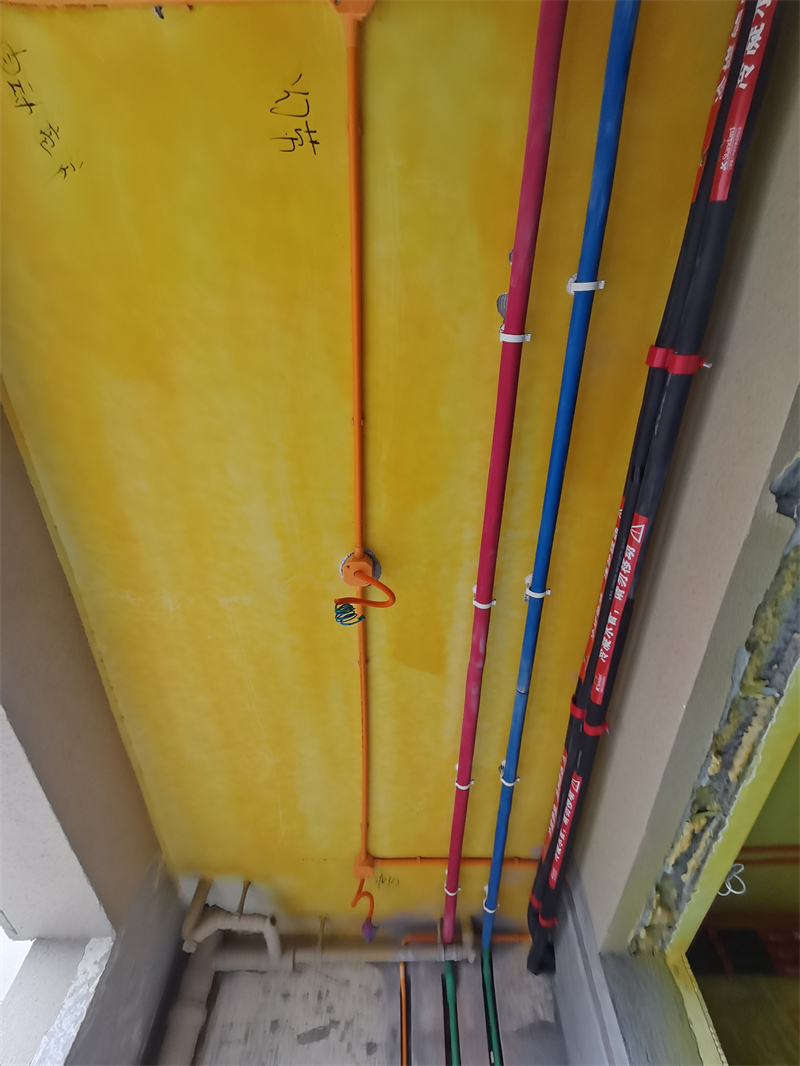 IMG_20230808_090506.jpg