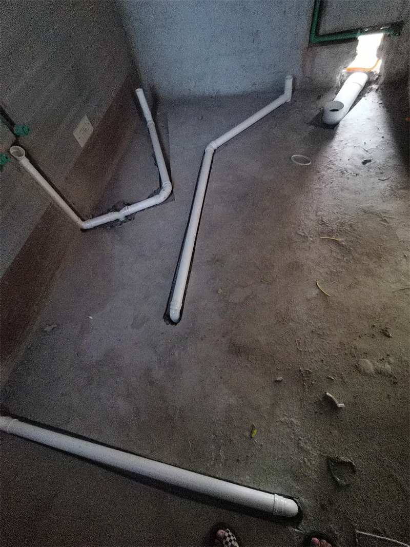 IMG_20230810_084034.jpg