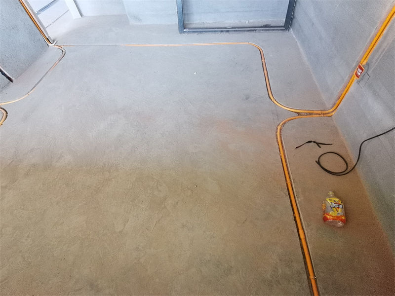 IMG_20230813_084410.jpg