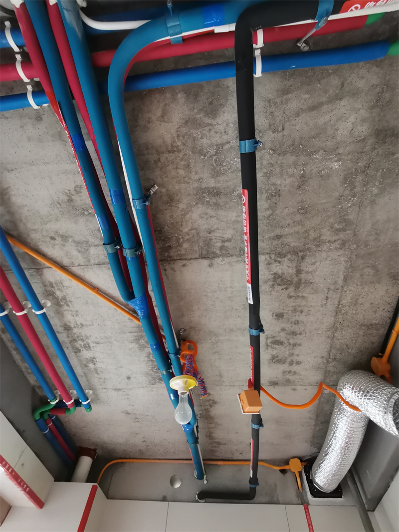 IMG_20230831_084107.jpg