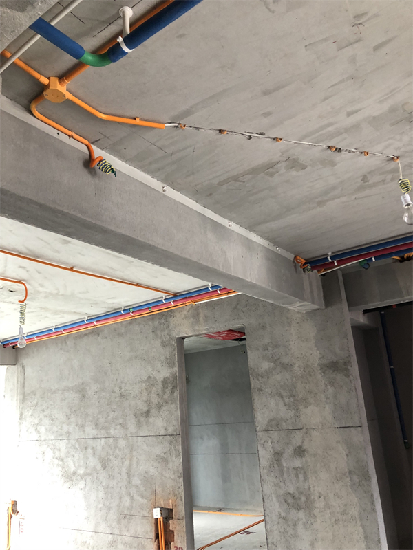 IMG_7014.JPG