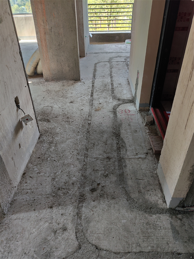 IMG_20230917_145331.jpg