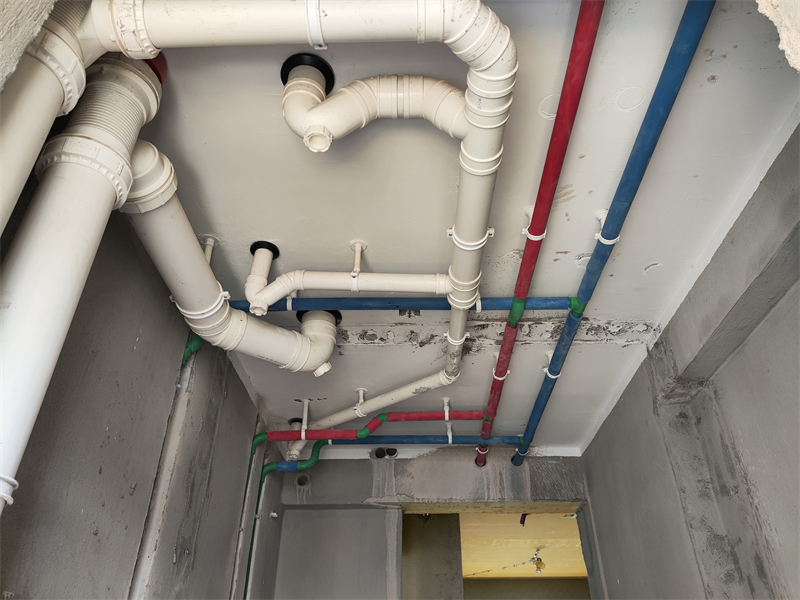IMG_20230927_142906.jpg
