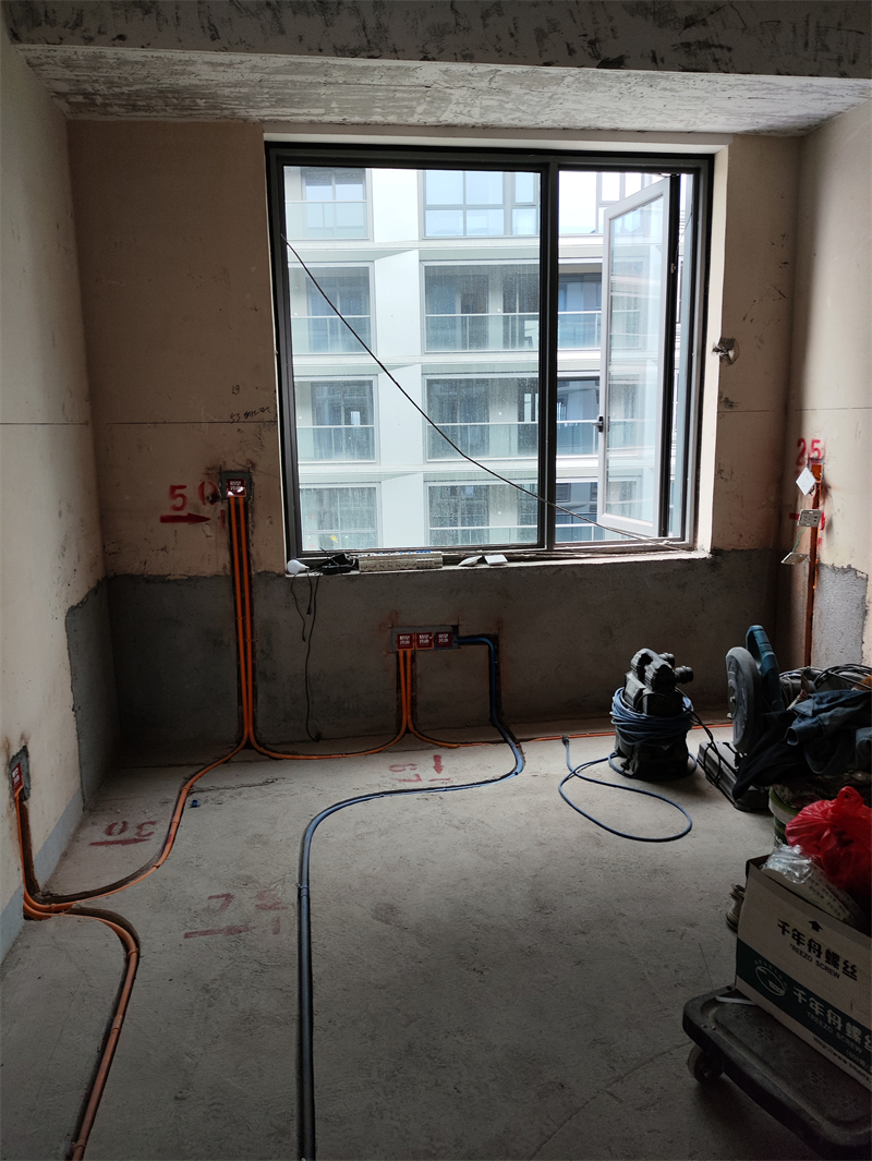 IMG_20231011_085735.jpg