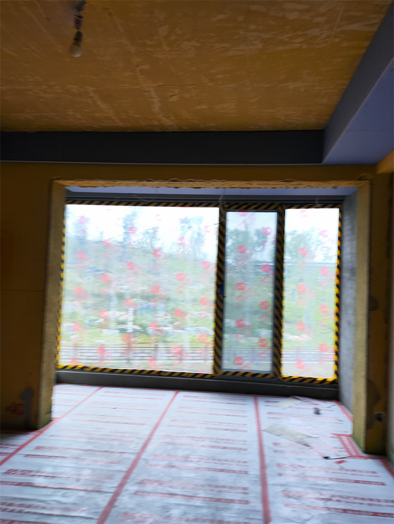 IMG_20231008_101308.jpg