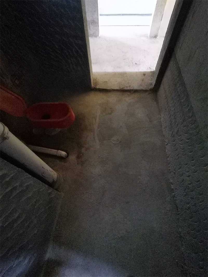 IMG_20231014_084619.jpg