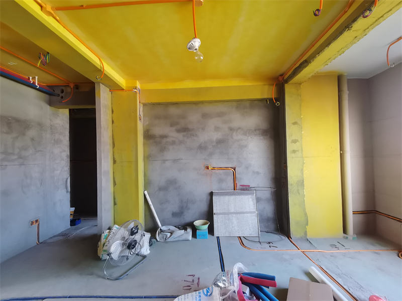 IMG_20231017_082215.jpg