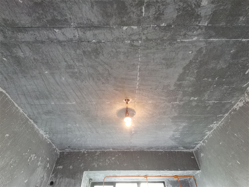 IMG_20231017_092012.jpg