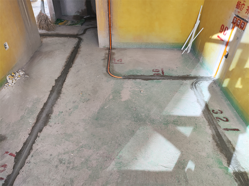 IMG_20231018_081736.jpg