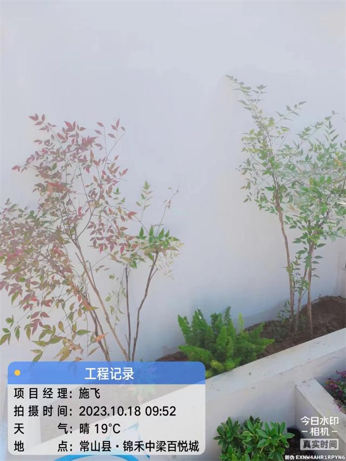 103c4ec58ae9cd7a6a7731bb887a76e.jpg
