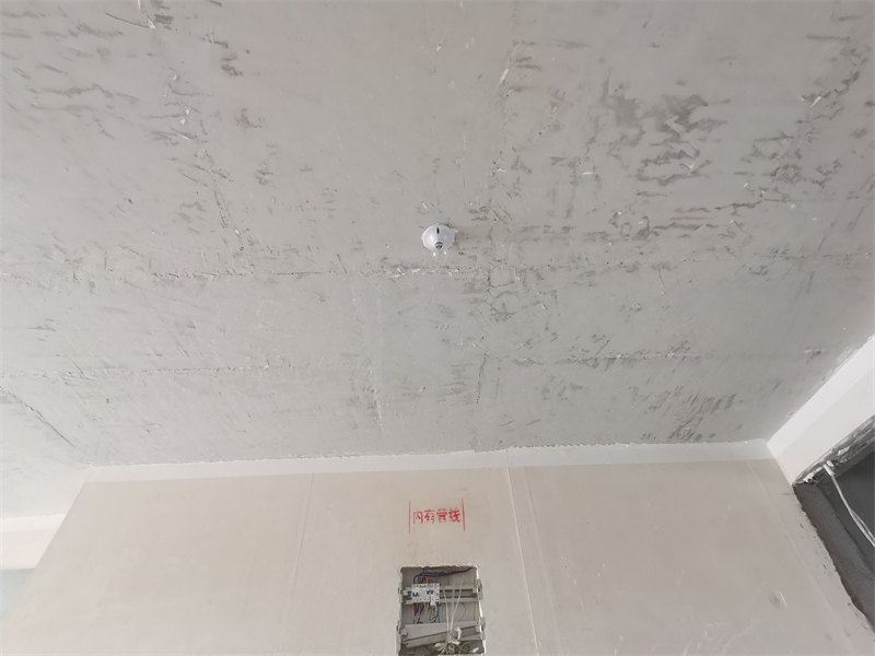 IMG_20231028_084014.jpg