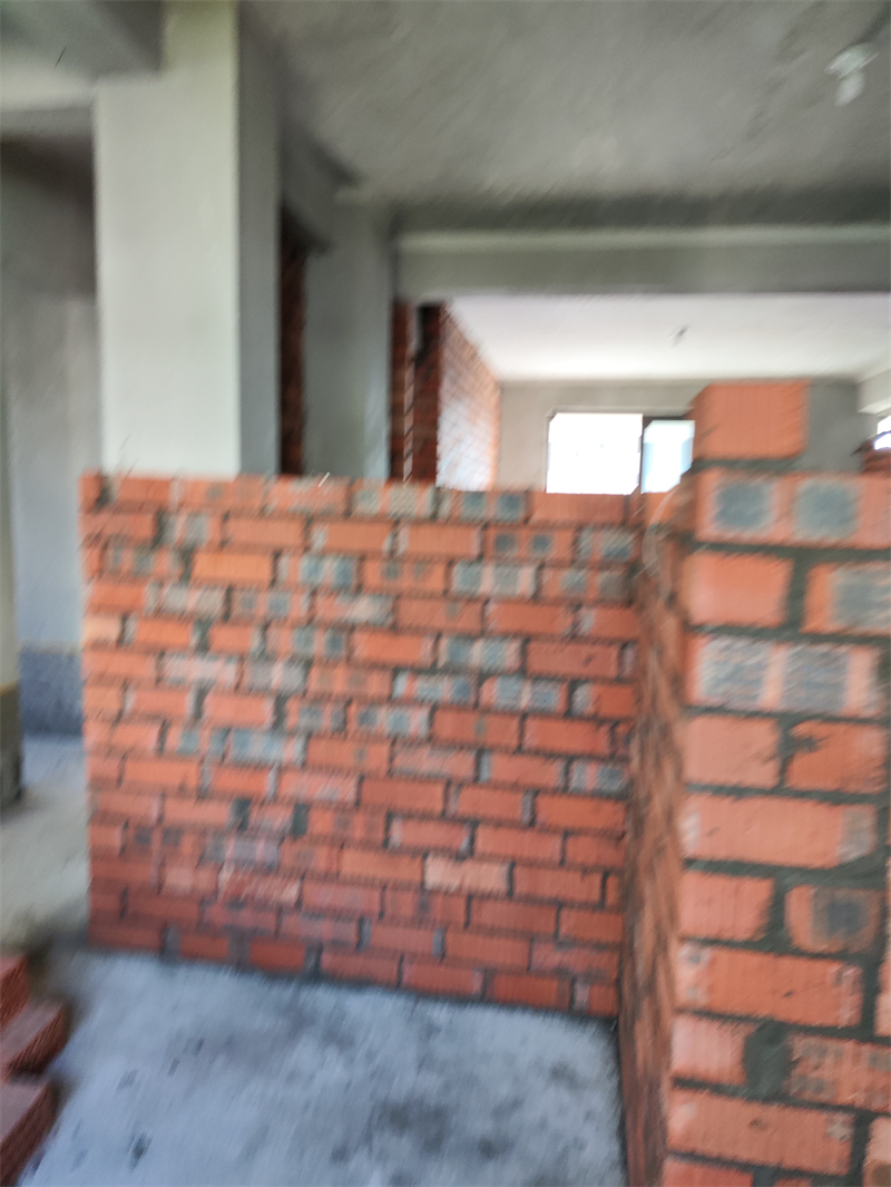 IMG_20231102_093744.jpg
