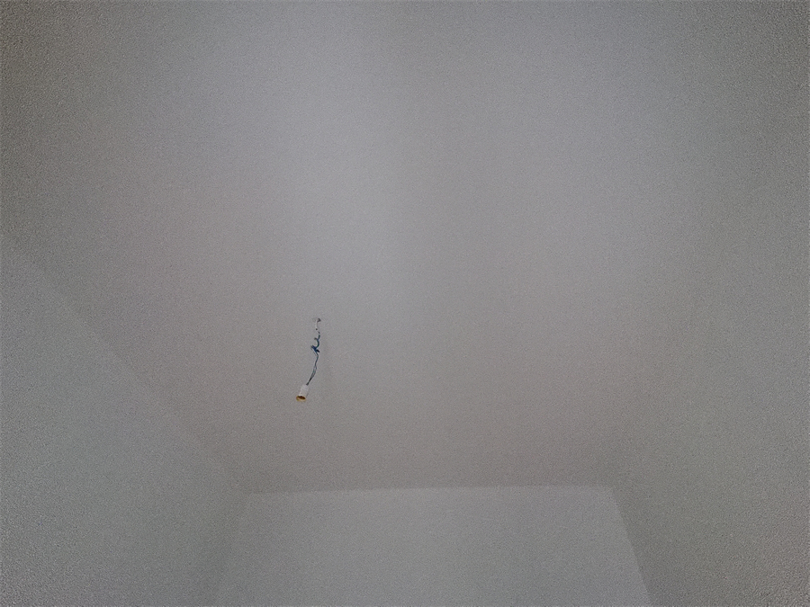 IMG_20231101_090136.jpg