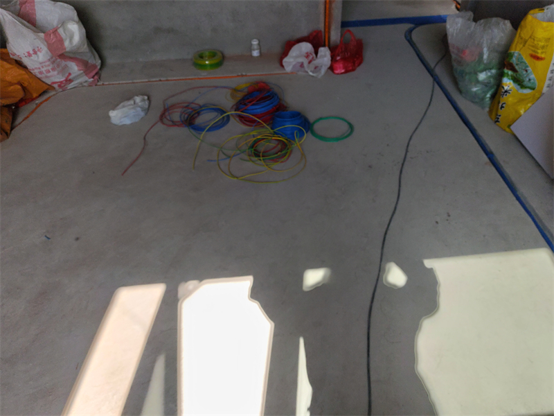 IMG_20231103_110524.jpg