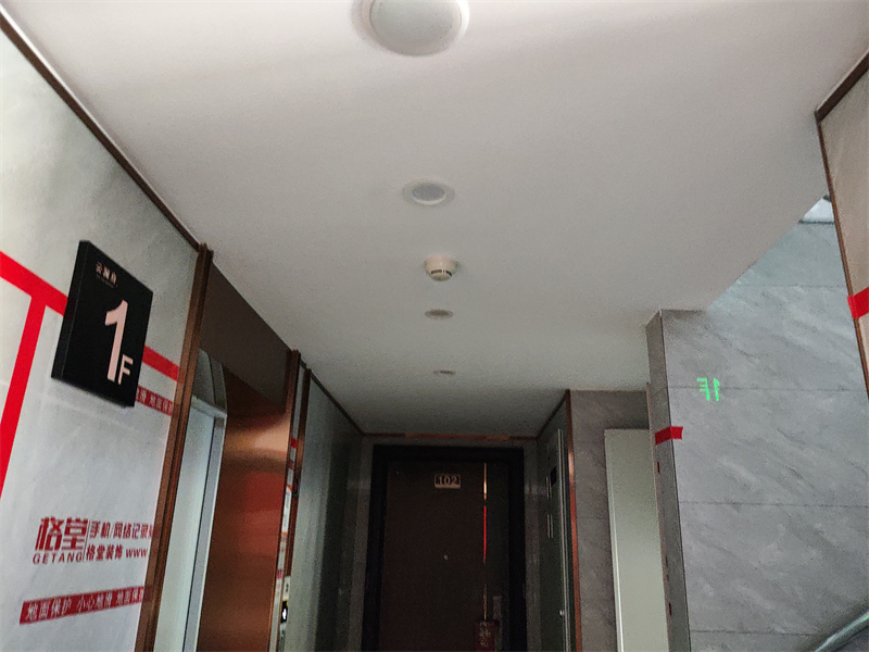 IMG_20231105_131117.jpg