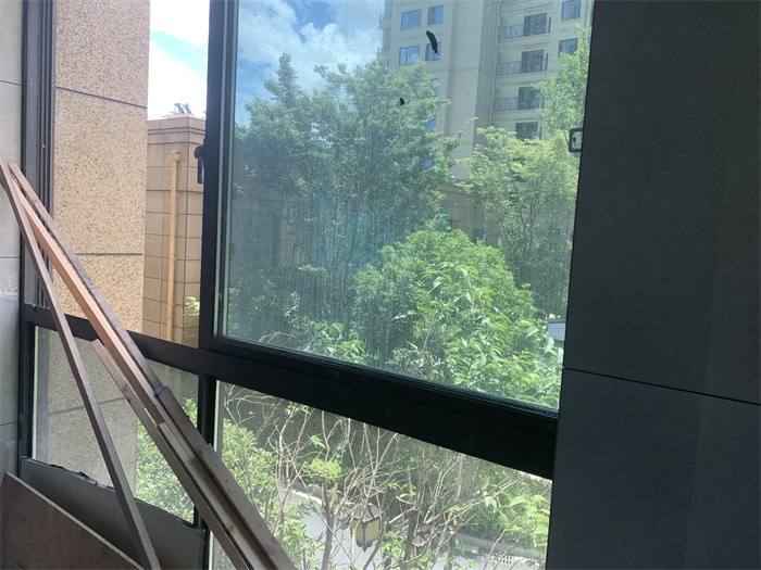 IMG_5713.JPG
